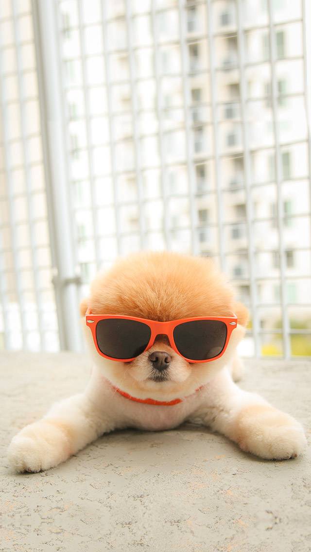 Boo Weather for hot weather