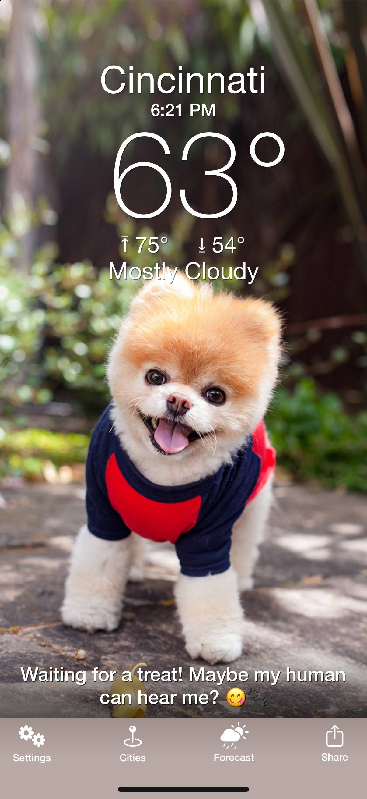 Weather Puppy: The Daily Woof